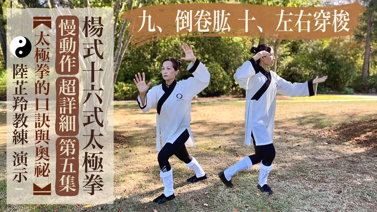 楊式十六式太極拳第五集 9. 倒卷肱 10. 左右穿梭 超詳細解析旁白  一步一步慢動作 方位說明 幫助學習領悟 陸芷羚教練演示口訣 太極拳口訣  Tai Chi Quan Demonstration