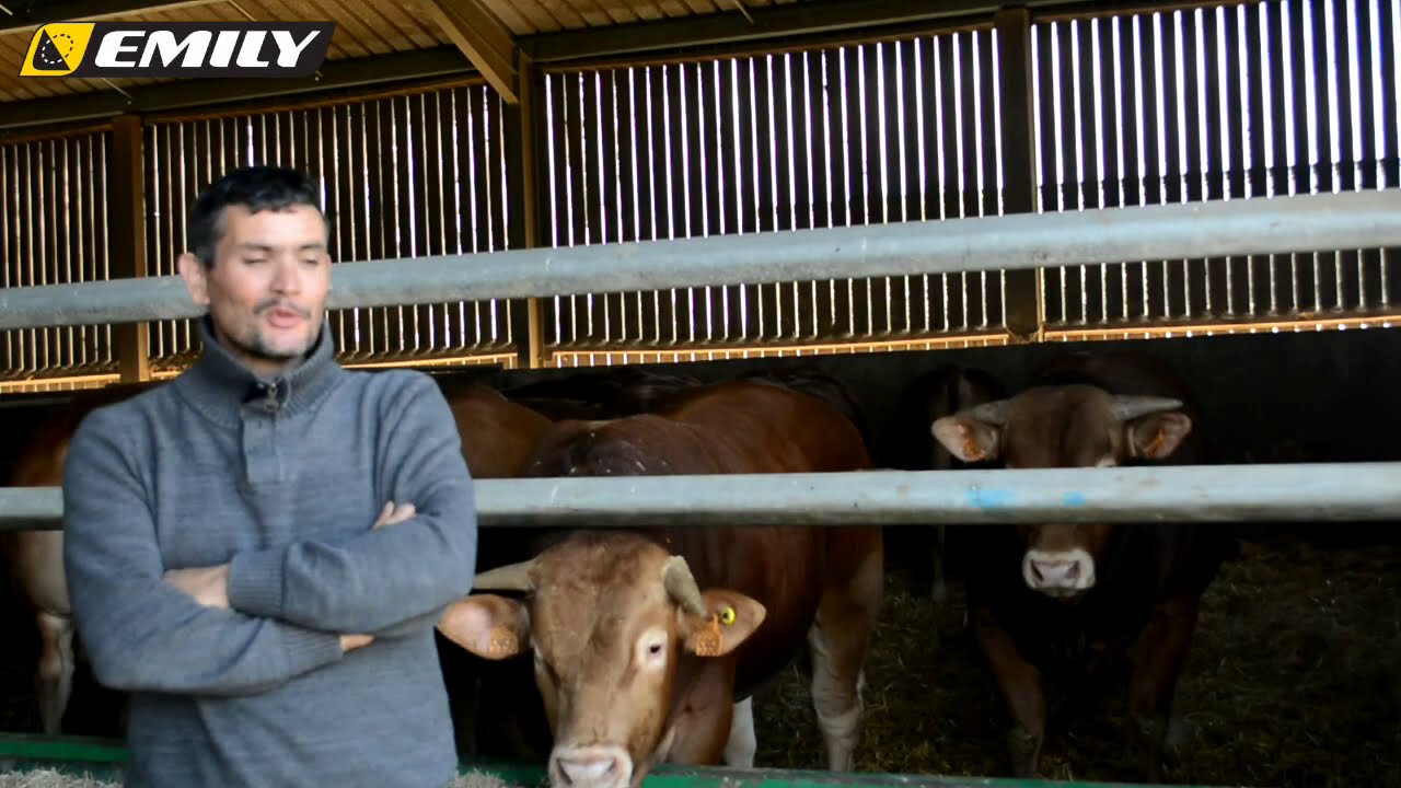 Témoignage utilisateur Dis'fib Emily en bovins viande
