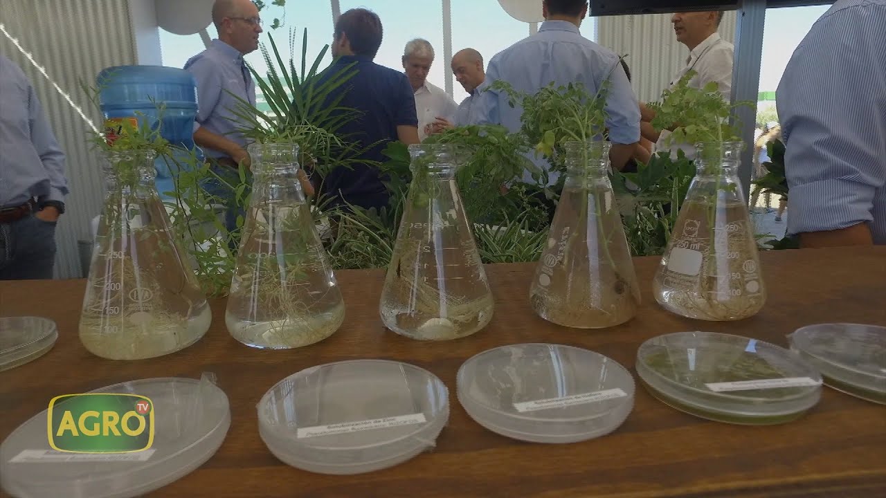Productos Biológicos: Un mercado que crece y se afianza en agro argentino (#1055 2023-10-28)