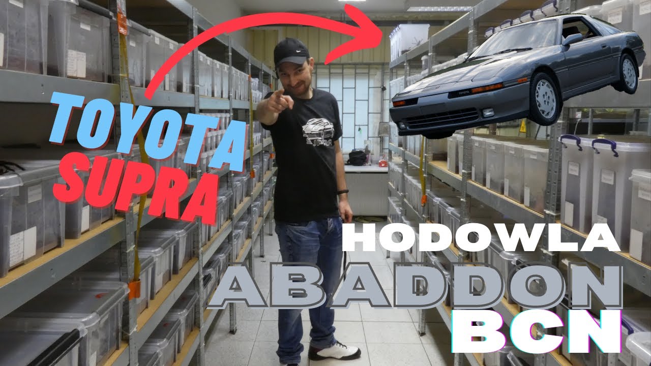 NAJSZYBSZY HODOWCA PTASZNIK&Oacute;W W POLSCE?! Polscy terraryści i ich hodowle |AbaddonBCN| Arachnohobbia