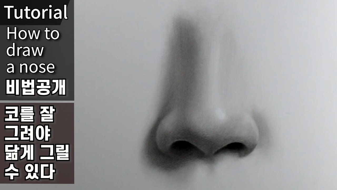 코를 잘 그려야지 닮게 그릴 수 있다 / 김소현 / 코 그리는법, 연필초상화, 연필 인물화, 소묘 기초,  연필 드로잉 기초 강좌 | DrawingJ드로잉제이