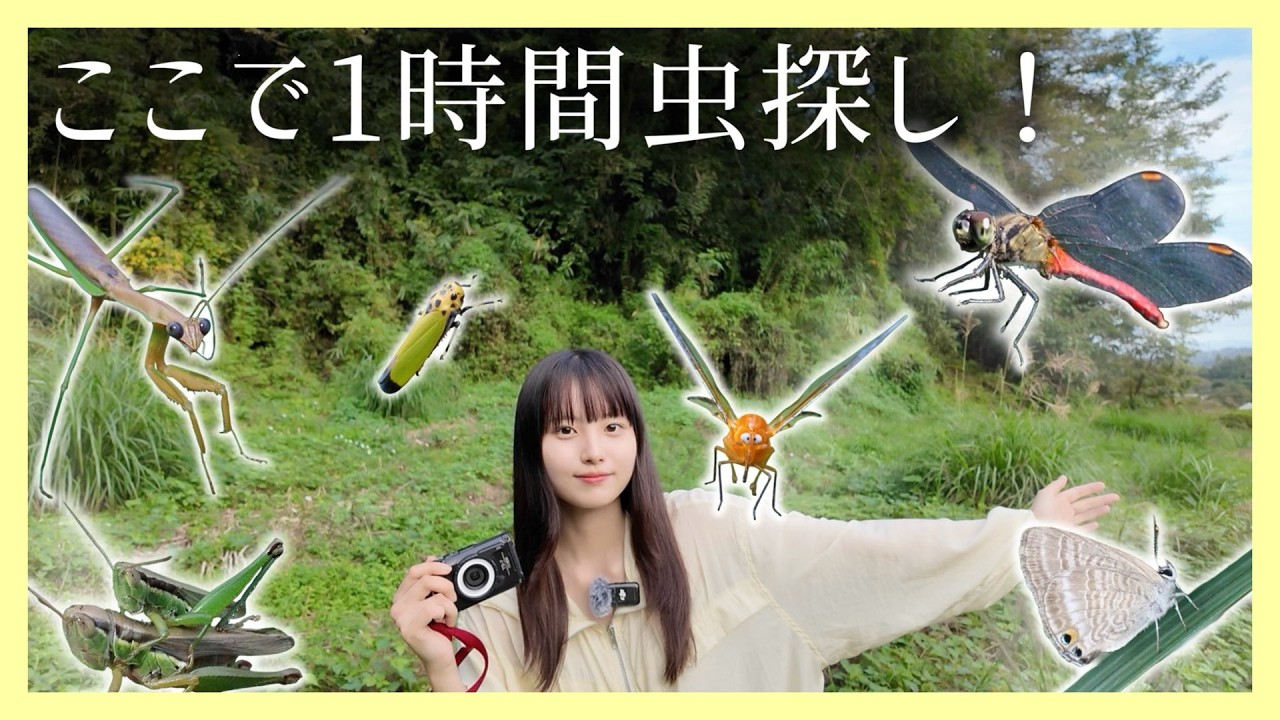 【制限時間60分】虫オタクなら、ここで何種類の虫に出会える！？