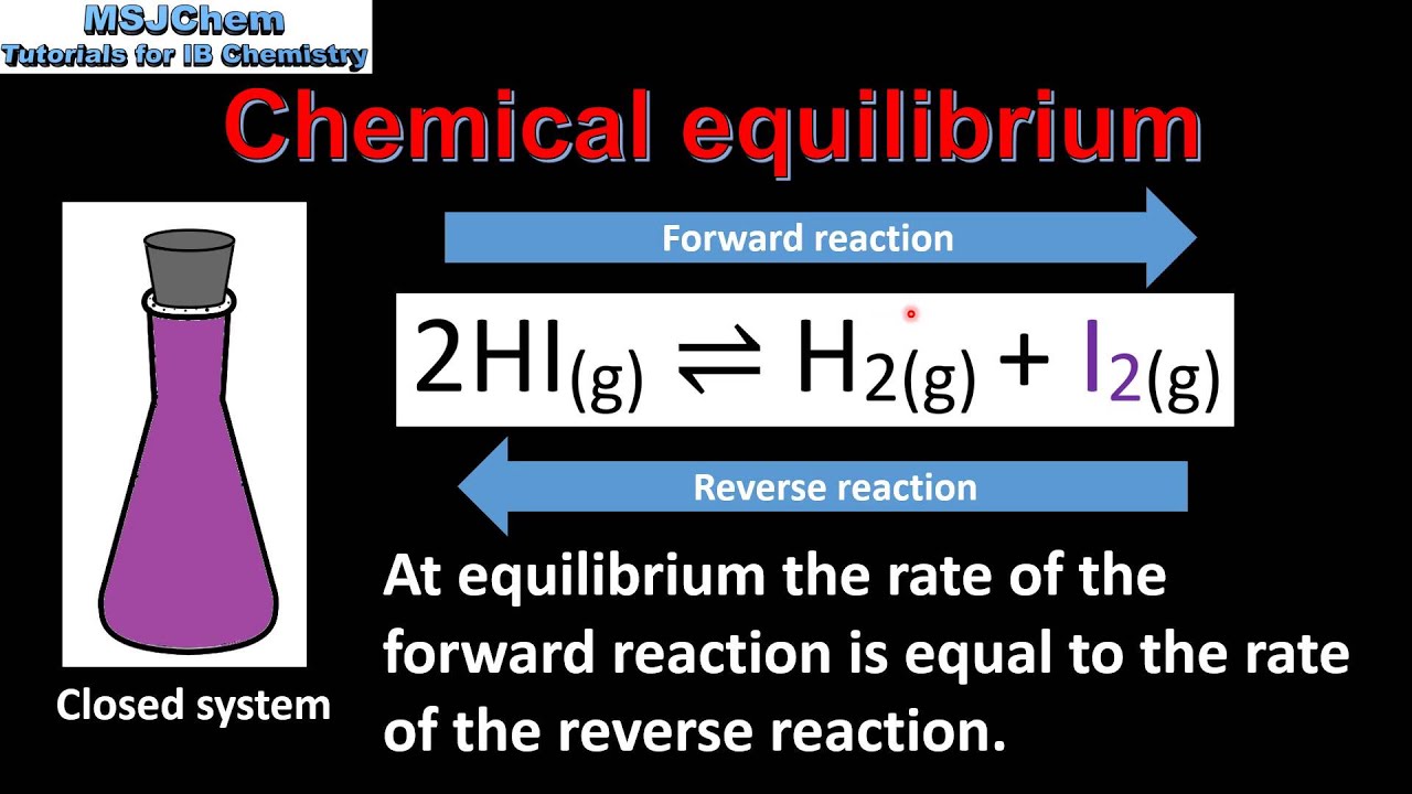 7.1 Dynamic equilibrium (SL)
