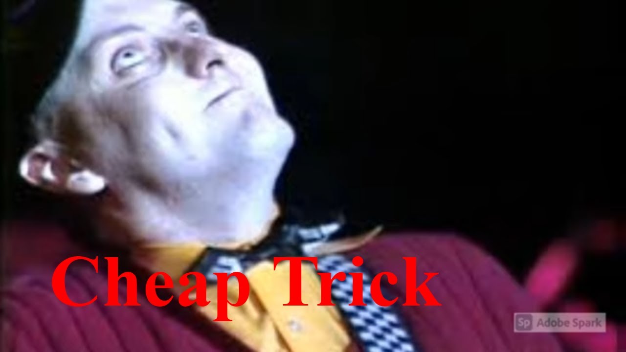 Cheap Trick . If only my girl was a little bit more like you