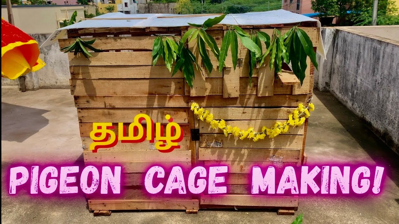 Pigeon✅Cage🛖Making⚡️தமிழ்🕊️#cagemaking #cage #making #loft #pigeonloft #pura #pigeon #petscorner