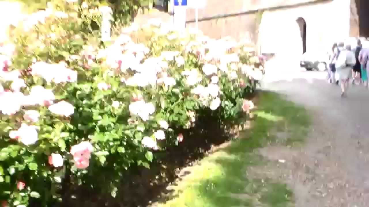 Italian Urban Landscaping With a Flair for Detail