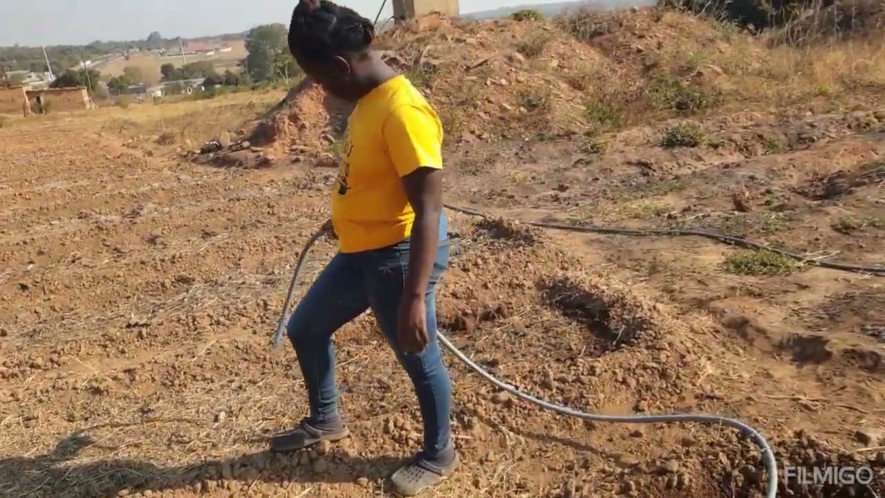 Life of a farm girl planting Pumpkins in Zambia, Africa🇿🇲 #farmlife #farmer #farming #zambia #africa