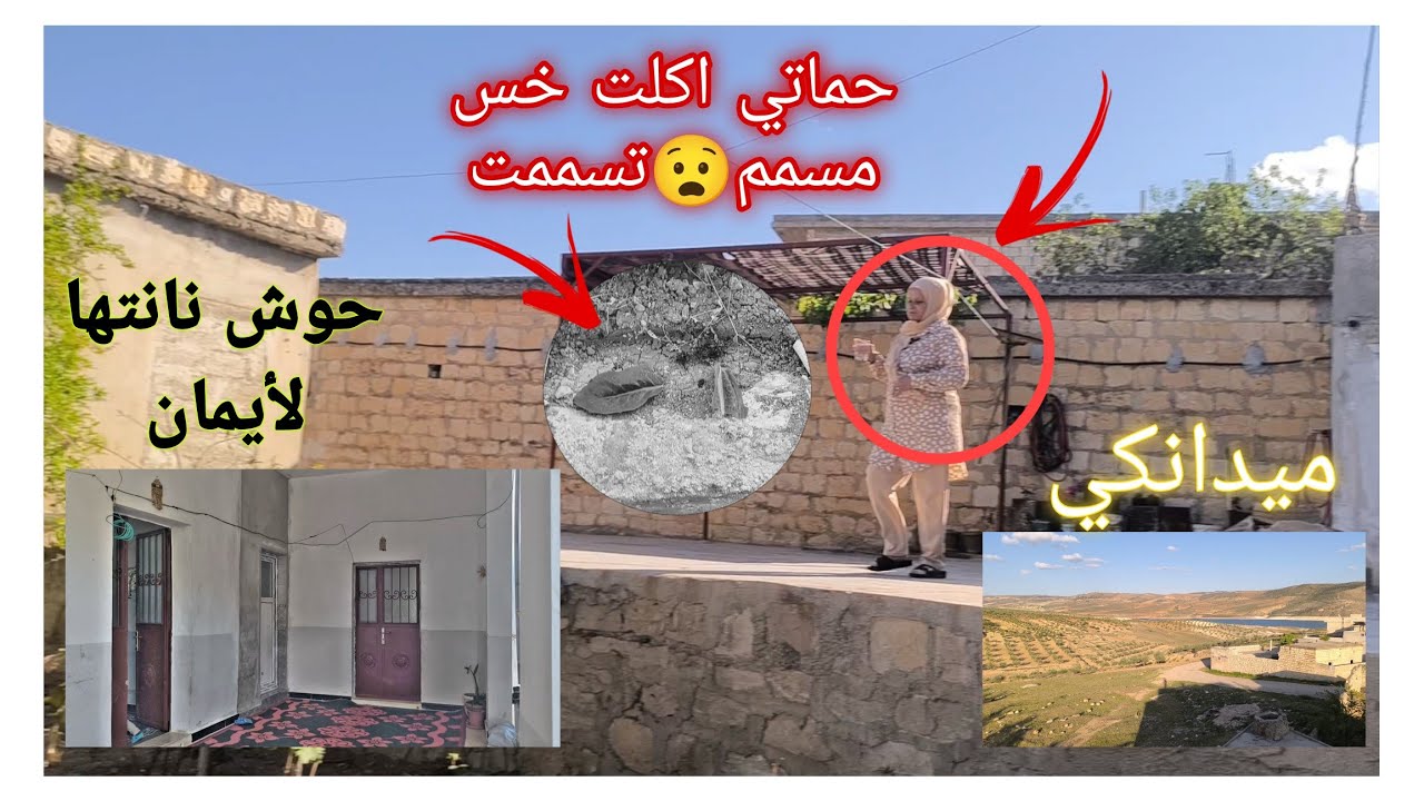 حماتي تسممت💔😧رحنا عالميدانكي// وعلى حوش نانتها لأيمان