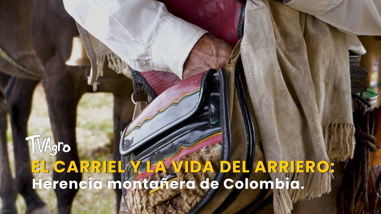 El carriel y la vida del arriero: Herencia monta&ntilde;era de Colombia &ndash; TvAgro por Juan Gonzalo Angel