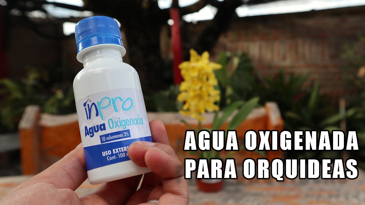 Agua Oxigenada para Orquídeas