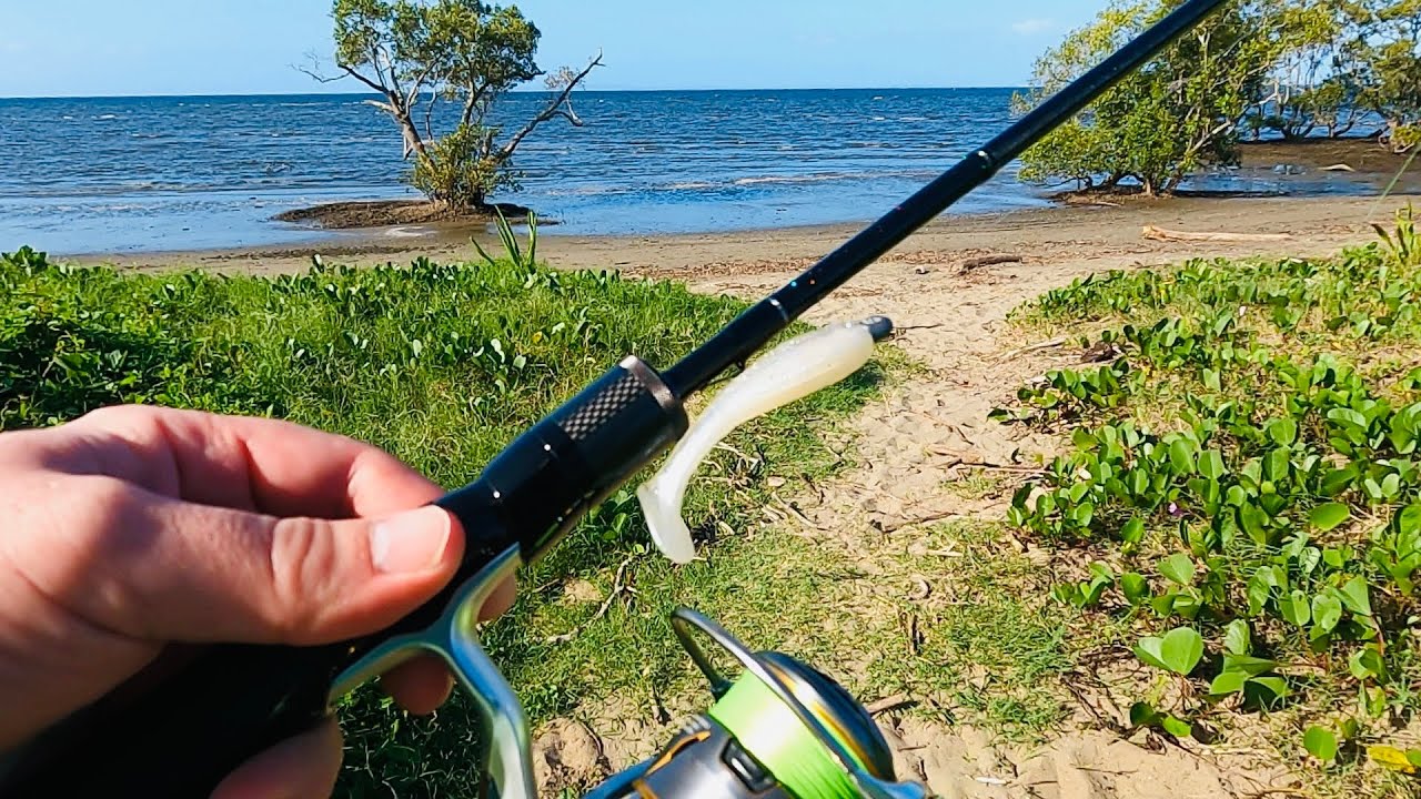 Brisbane Lure Fishing - chasing some estuary fish at Nudgee Beach!