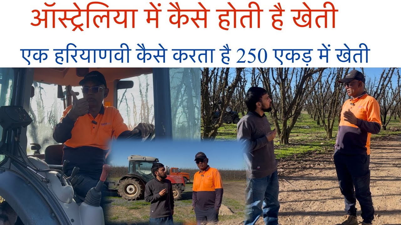 ऑस्ट्रेलिया में खेती करने का गजब का तरीका । कैसे एक हरियाणवी करता है 250 एकड़ में खेती । 