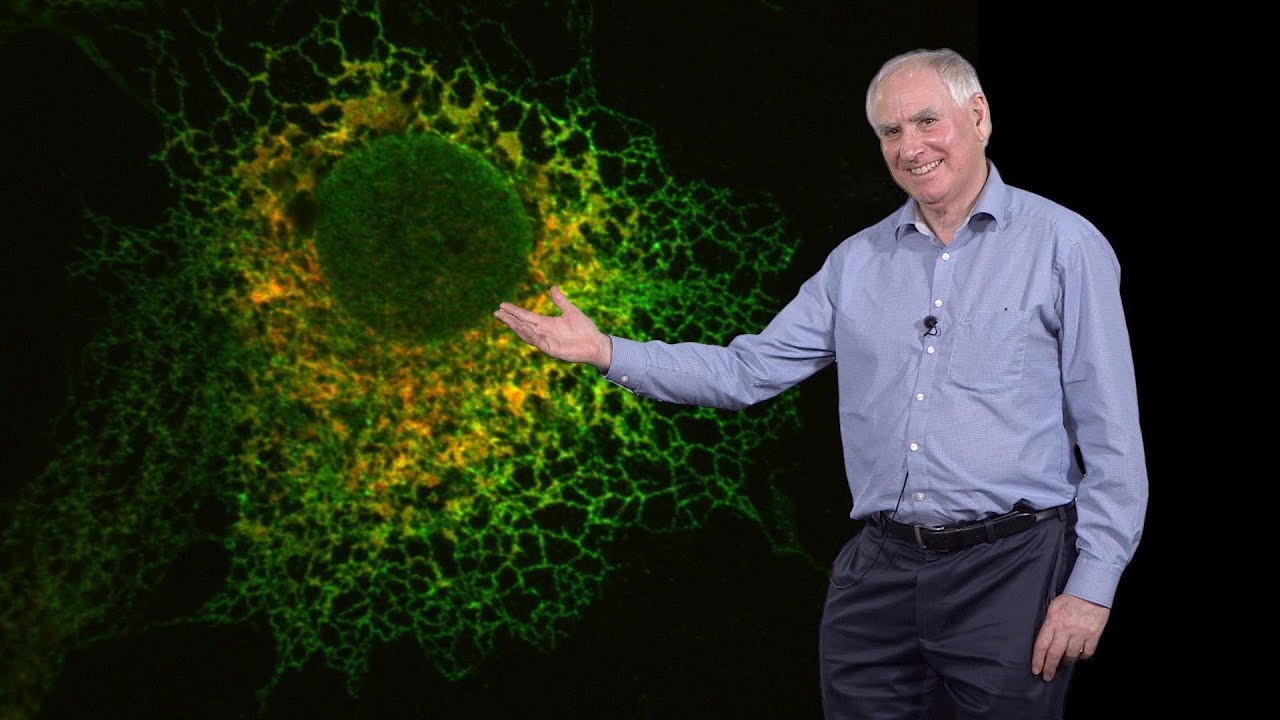Tom Rapoport (Harvard, HHMI) 2: How are cellular organelles shaped?