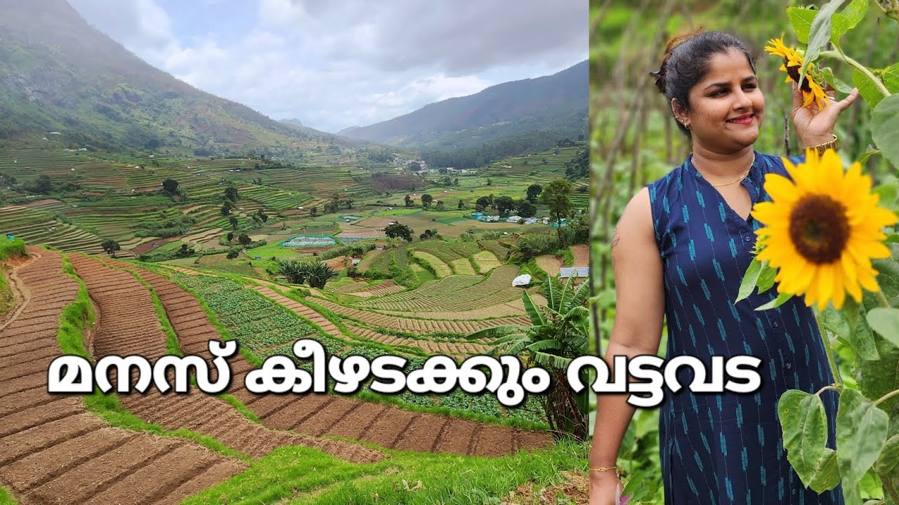 വട്ടവടയിലെ സ്വർഗം ❤️ PK'S MISTY VIEW RESORT VATTAVADA Ph : 8301059129 