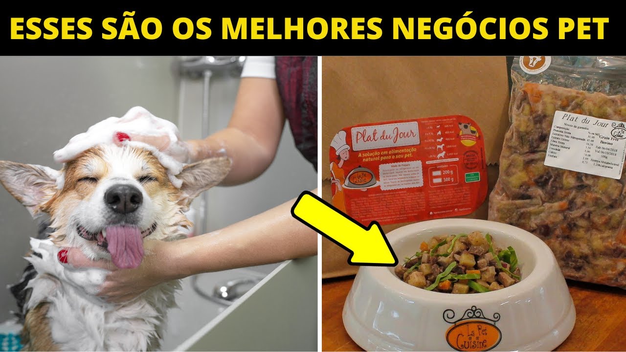O QUE FALTA NO MERCADO PET? 10 Oportunidades de neg&oacute;cios