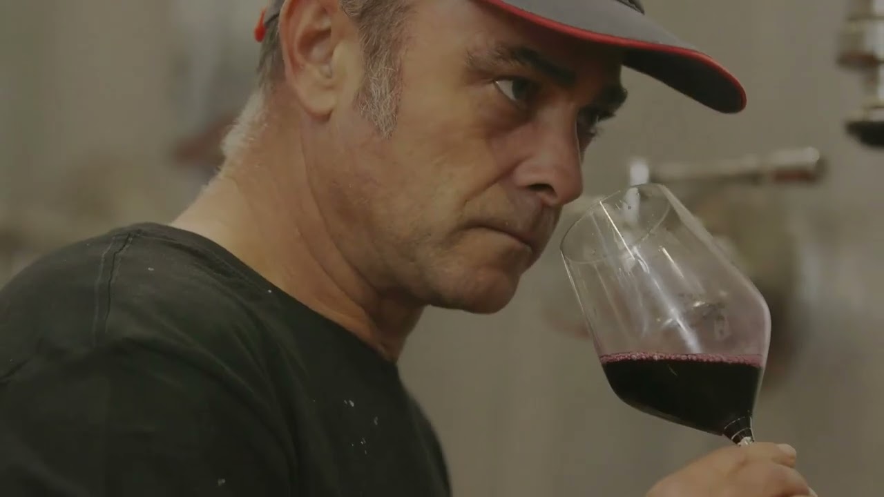 🍇 Bodegas Bocopa: Where Unity Shapes Alicante Wines🥂