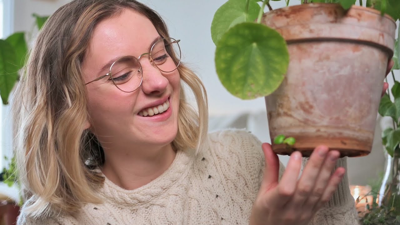 ASMR - Show and Tell - Plants Update 🌱