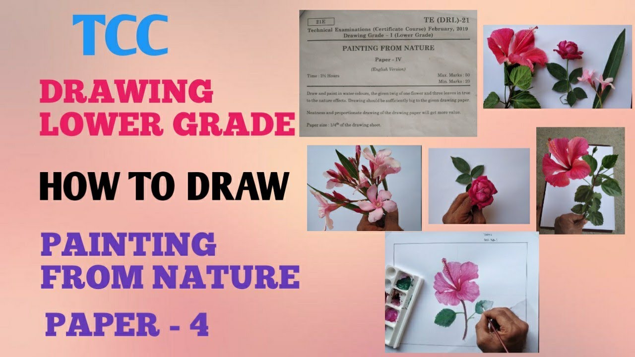 how to draw painting from nature/ drawing paper-4/hibiscus flower drawing/mandara flower drawing