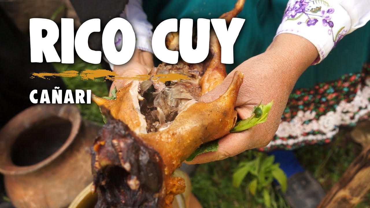 Rico Cuy Ca&ntilde;ari I Ca&ntilde;ar, El Tambo Doctv Ecuador