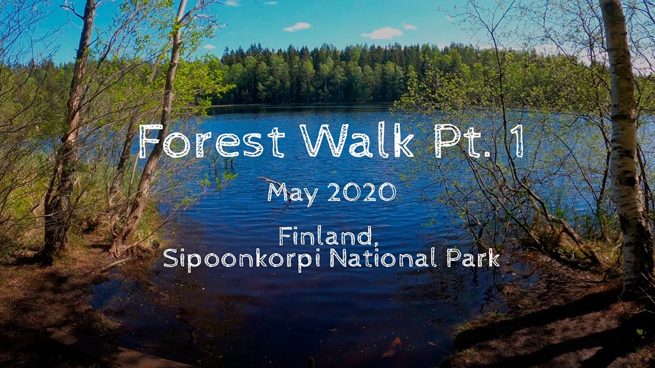 Forest Walk Pt. 1, May 2020, Sipoonkorpi National Park, Finland [4K]