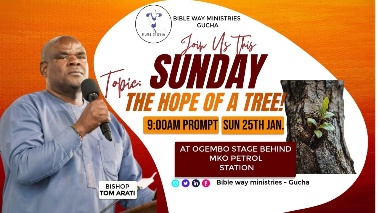 THE HOPE OF A TREE BY BISHOP TOM ARATI