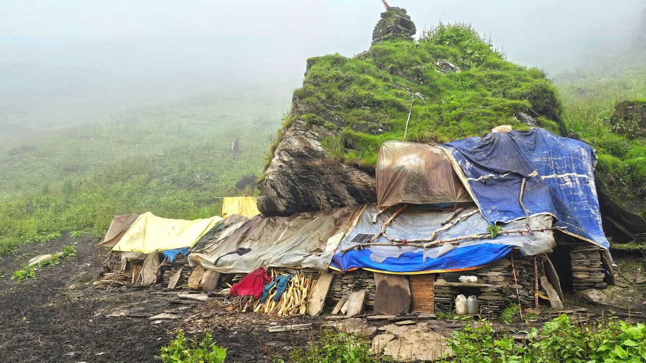 Most Peaceful And Relaxing Nepali Himalayan Yak Herdsmen's Life in Dolpa Nepal | Documentary Video |