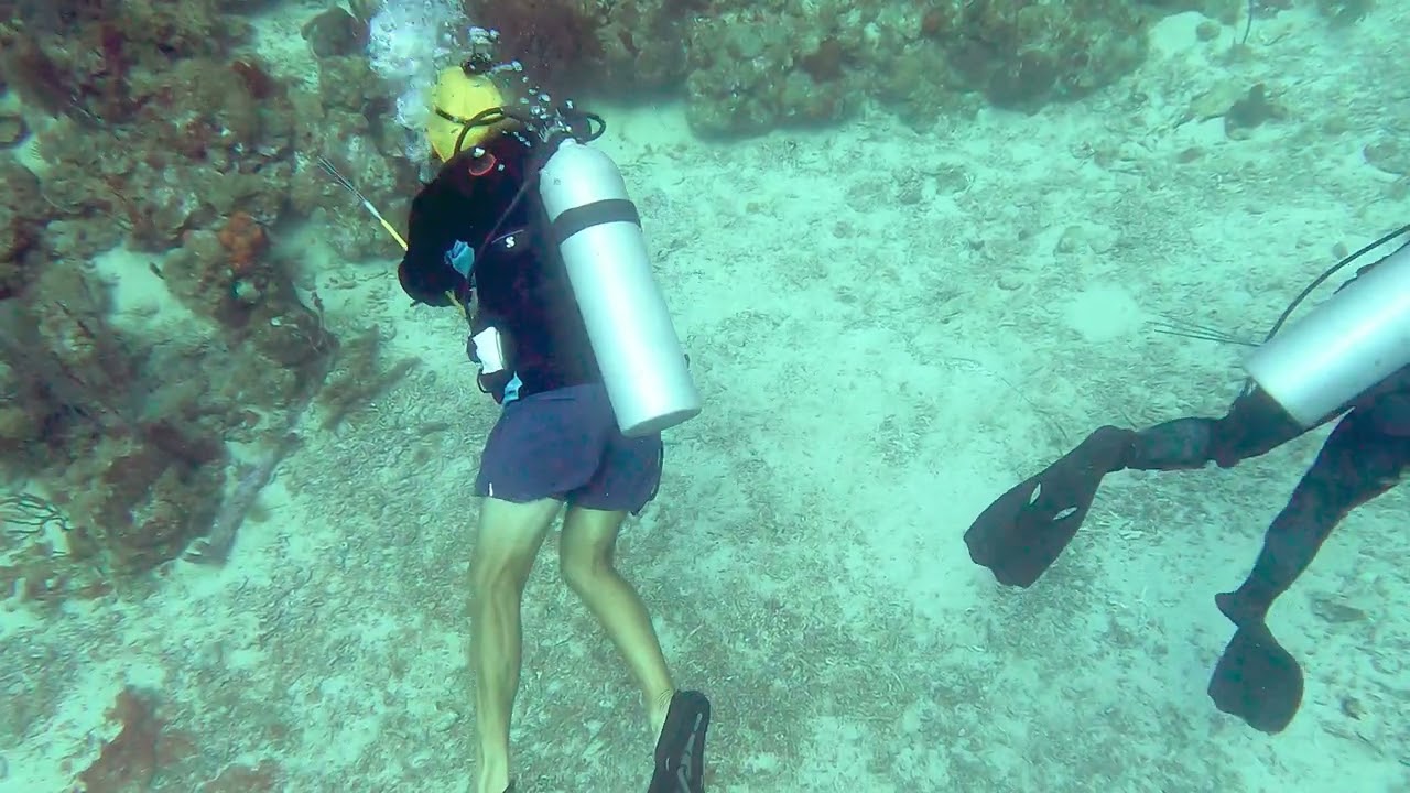 ST Kitts Scuba Dive 1- Minions, Morays and Sharks