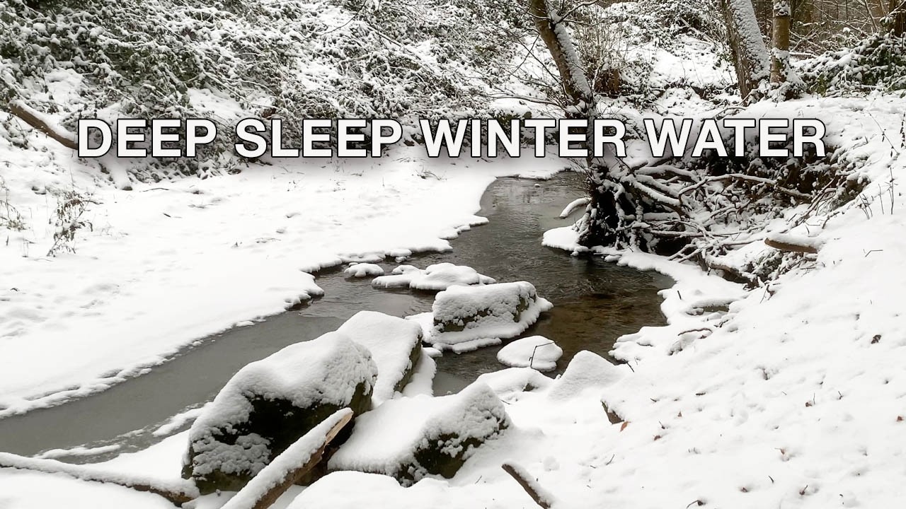Winter River Sounds for Deep Sleep ❄️ Gentle Flowing Water in Snowy Forest (ASMR)