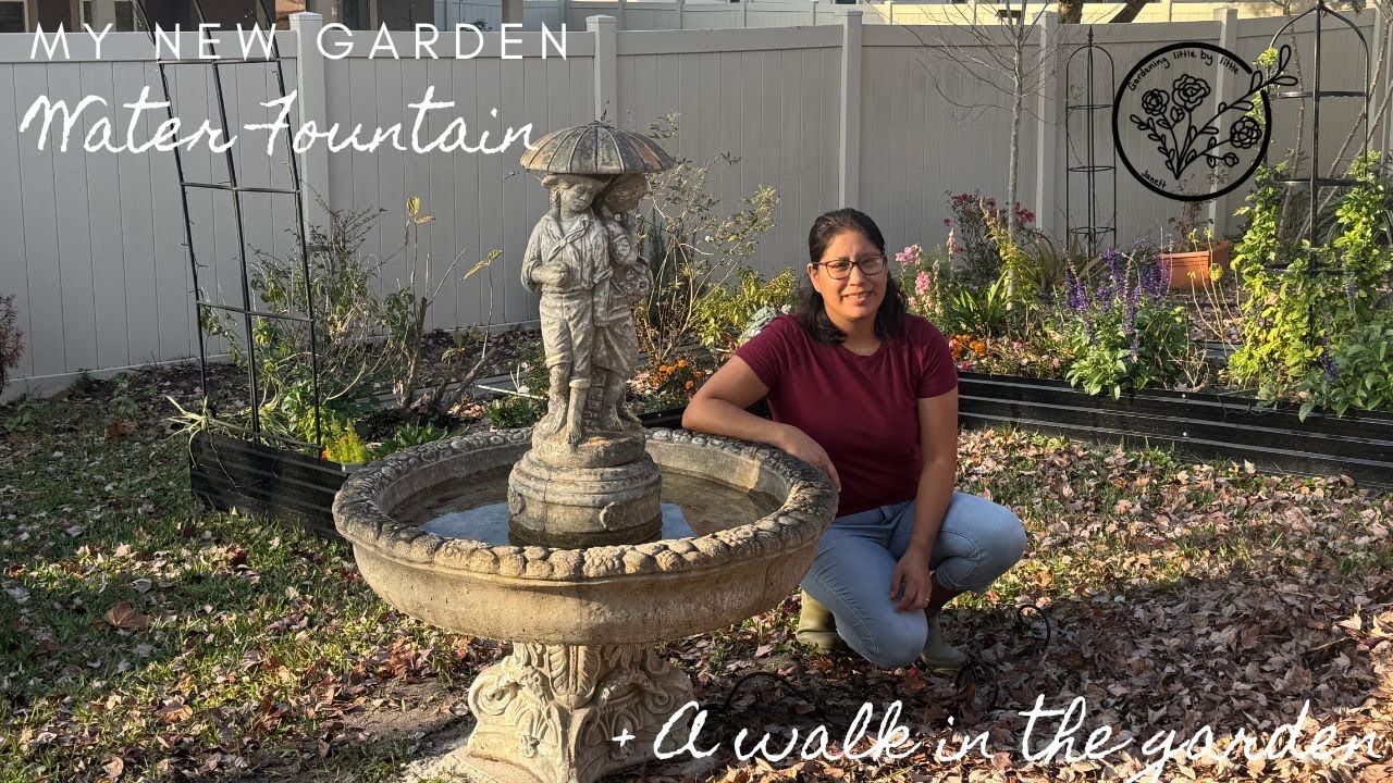 Last week Of December Garden Tour 2025 + My new water Fountain ⛲️