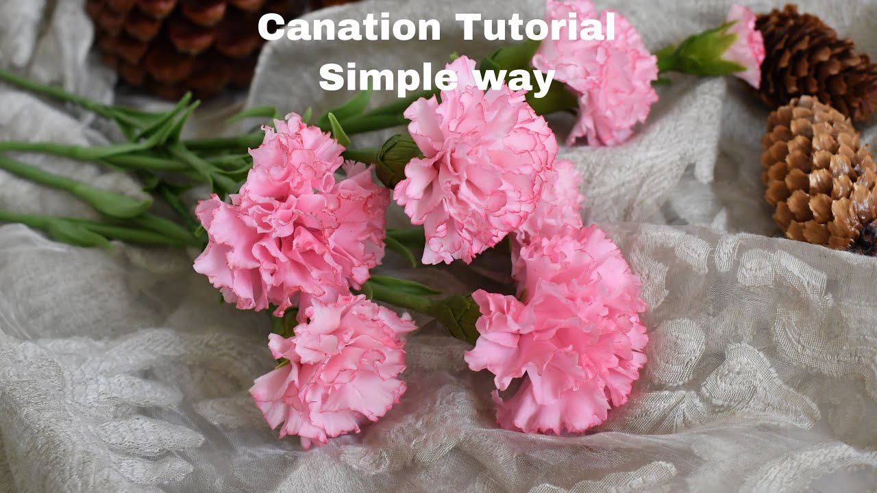 How to make a carnation by clay [hướng dẫn làm hoa cẩm chướng bằng đất sét]