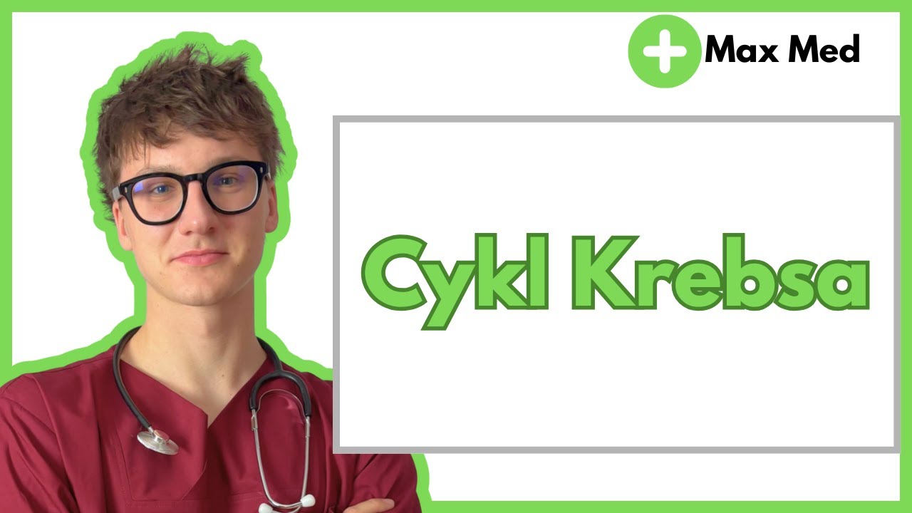 Cykl Krebsa + regulacja - Metabolizm