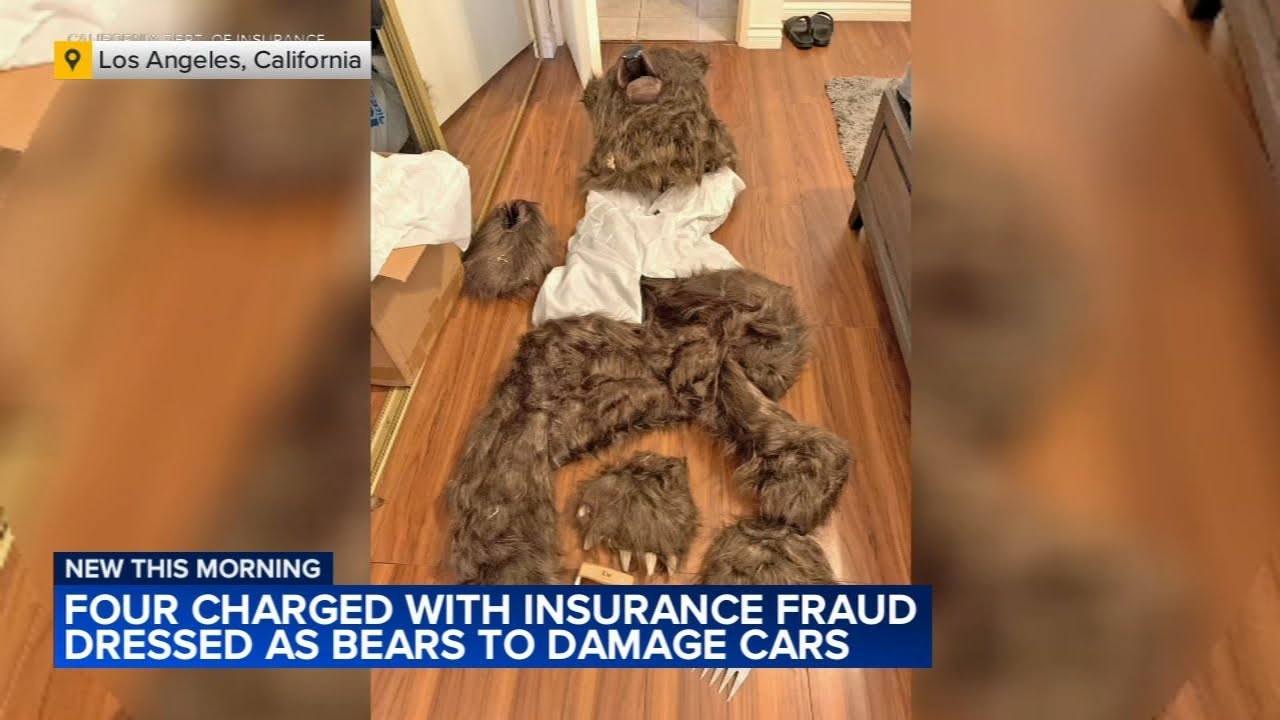 4 charged with insurance fraud after allegedly dressing as bears to damage cars