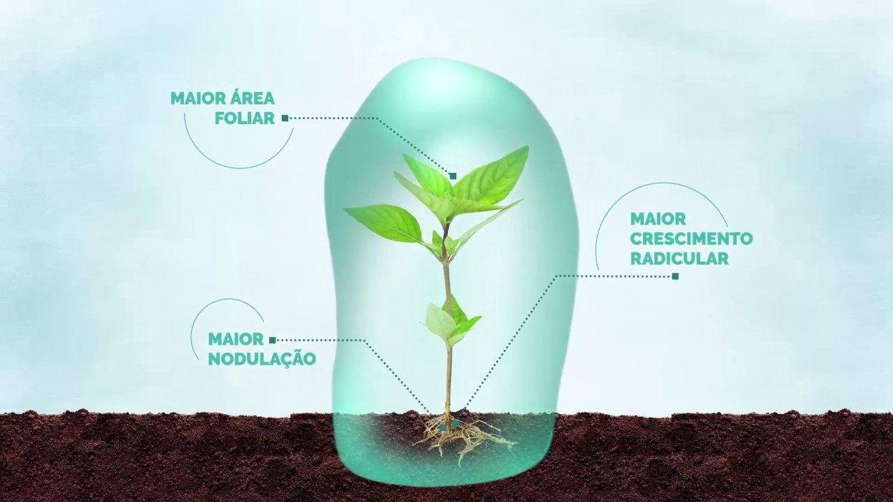 Timac // Progen Detox