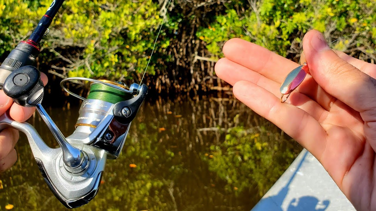 Micro Weedless Spoons in the Mangroves for Tropical Snook Species