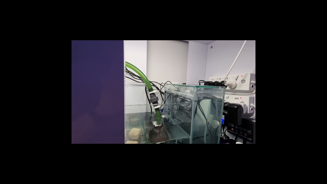 AQUA-ONE MINI REEF 215, over flow update.