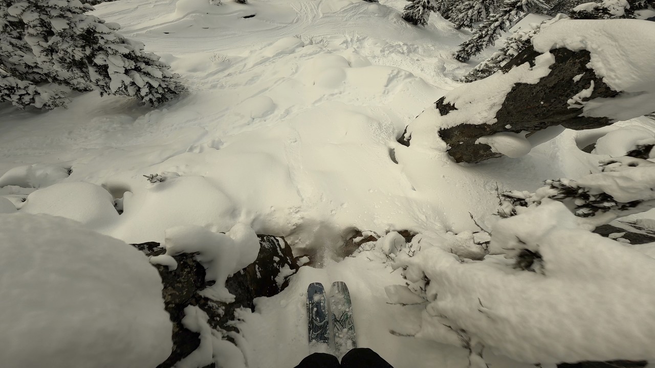 Whistler Tree Skiing