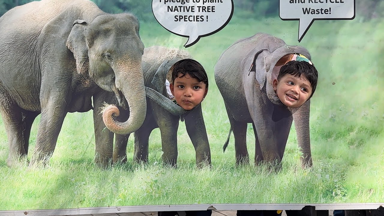 Bannerghatta National Park