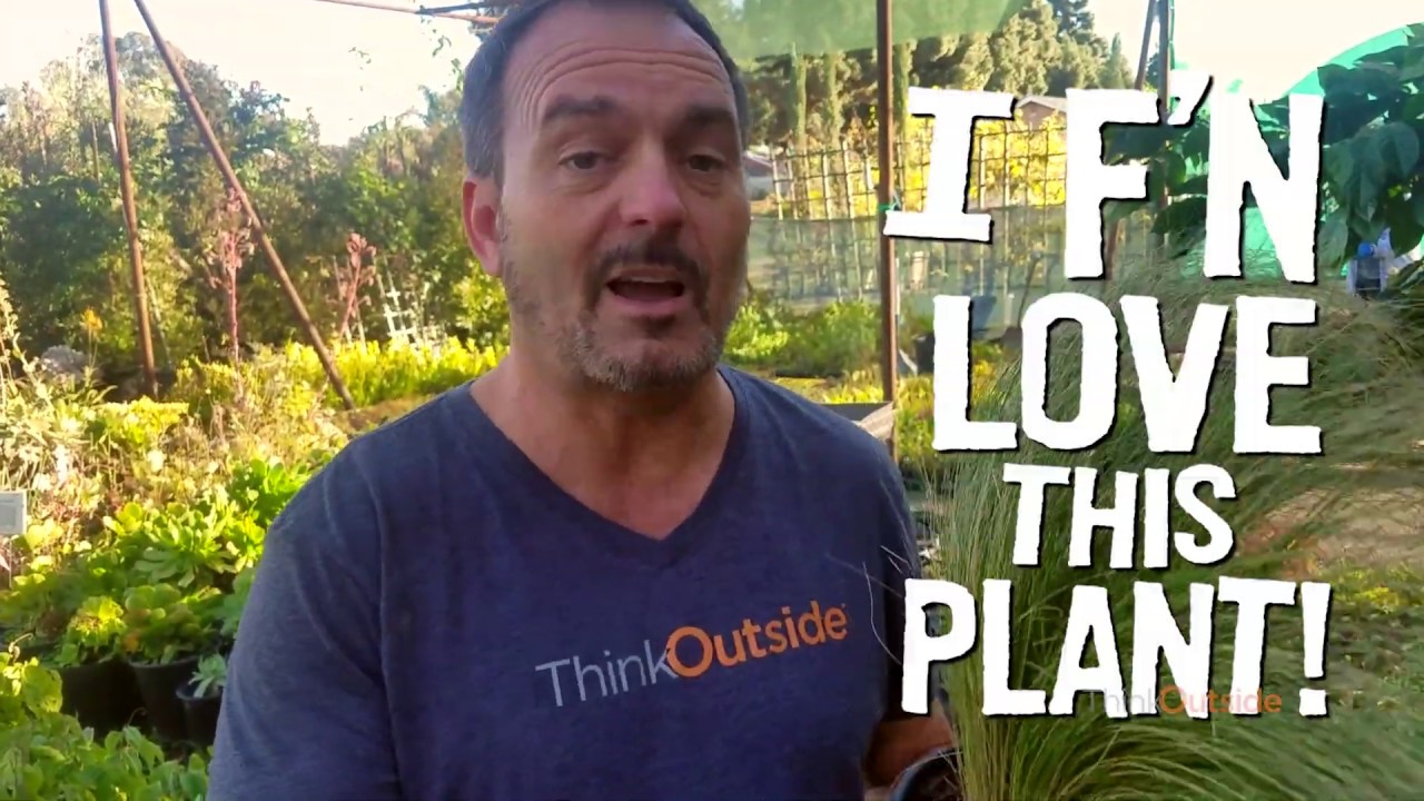 Welcome to Think Outside!