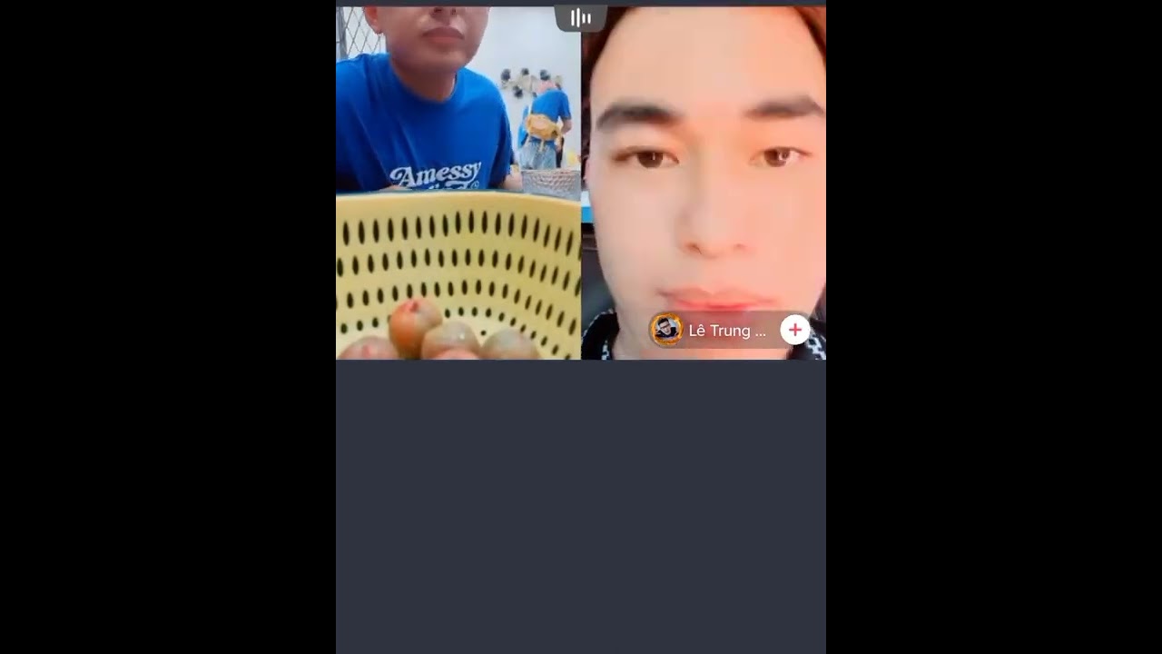 VIDHIA UDAH SAMPE DI RUMAH DAT VILA VIETNAM
