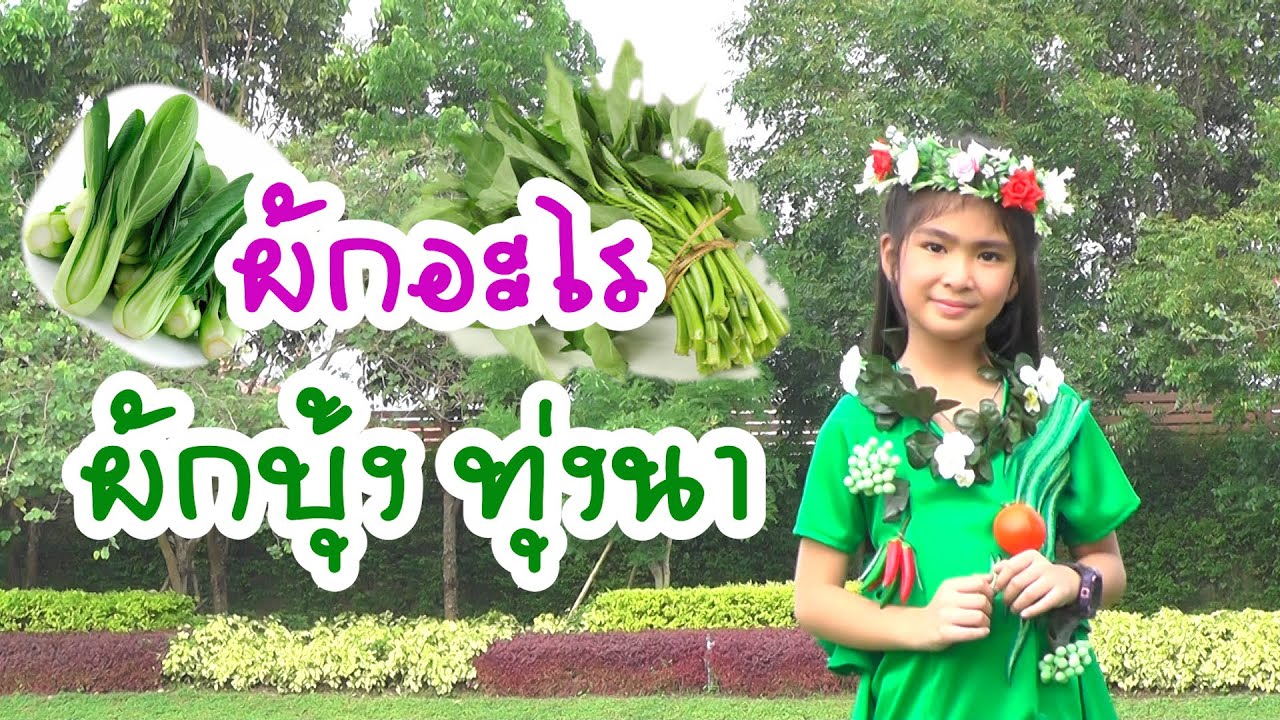 ผักอะไร - ผักบุ้ง ทุ่งนา (OFFICIAL MV)