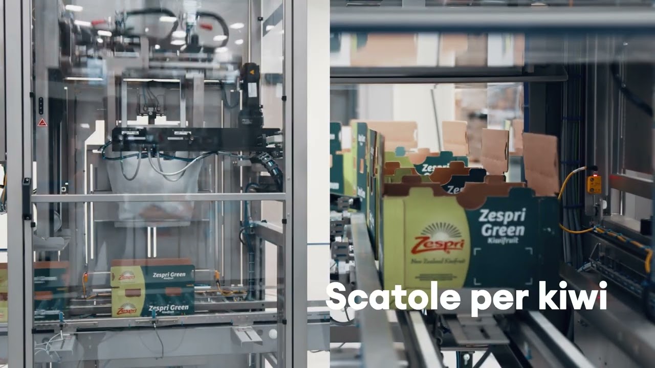Posizionamento dei sacchi | Niverplast