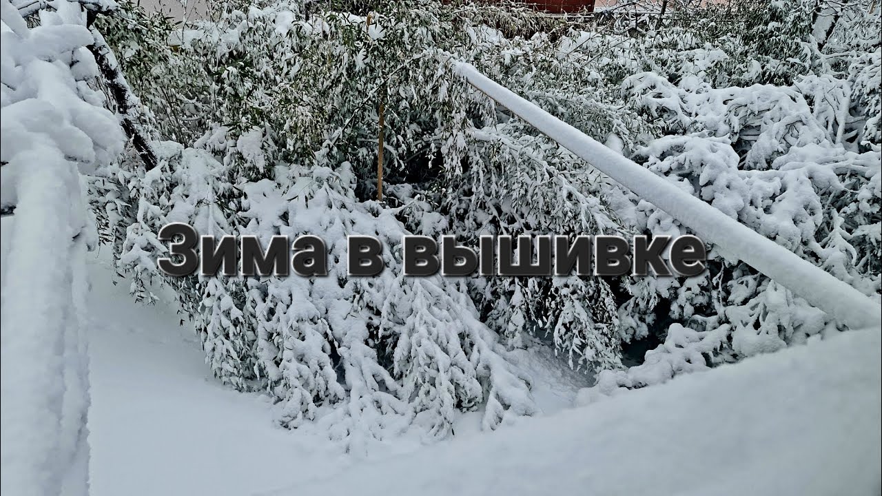 140/2026. Зима: вышитая, невышитая и вышиваемая❄️❄️❄️.