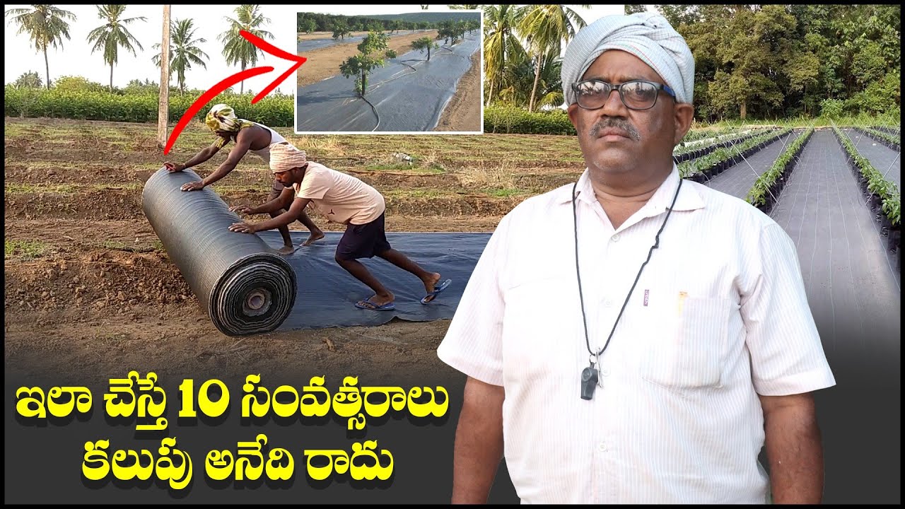 వీడ్ మ్యాట్ ద్వారా కలుపు సమర్థవంతంగా నివారించవచ్చు | Best Weed Control | AgriTech Telugu