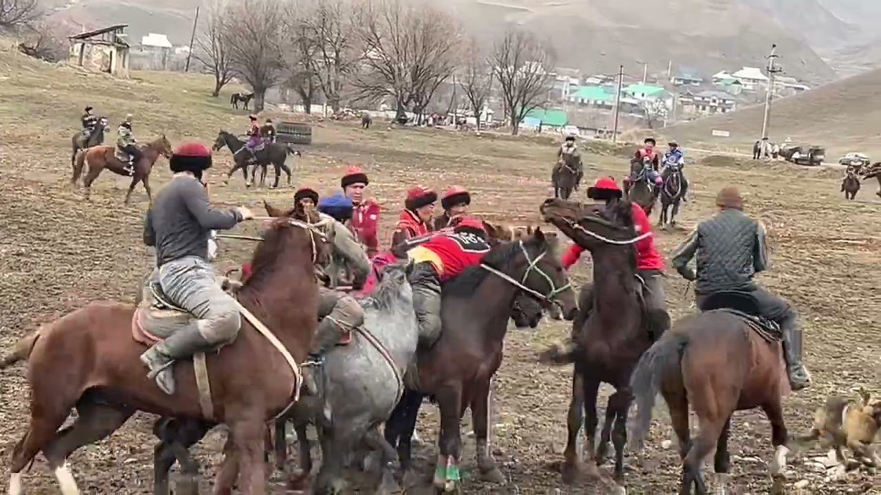 Аламан улак.