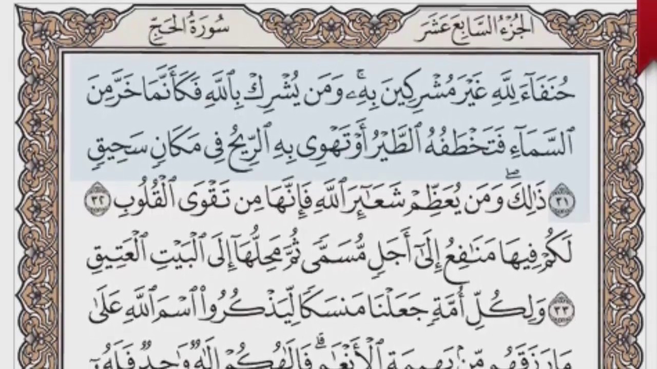 القرآن الكريم بالصفحات صوت وصورة ص/ 336 الشيخ محمود خليل الحصري بمد المنفصل