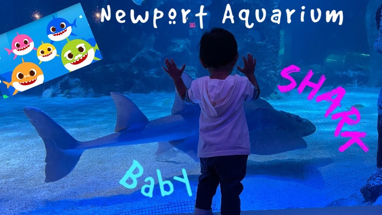 Newport Aquarium - 4K UHD | Fun Adventure for Kids | Newport, Kentucky