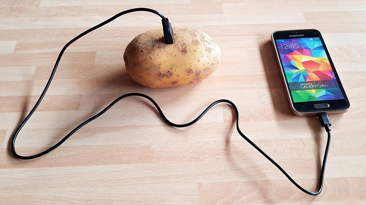 Mobile Charger Making By Potato - DIY Portable Powerbank