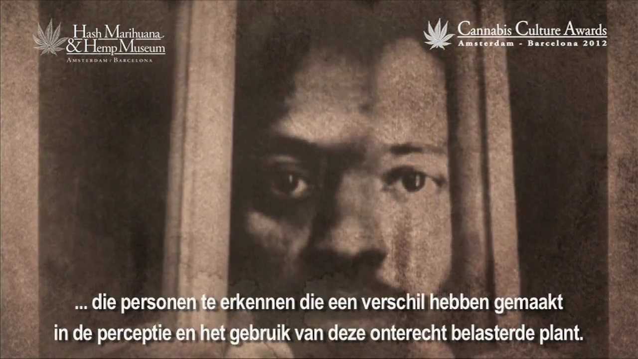 Cannabis Culture Awards Amsterdam | Opening Film