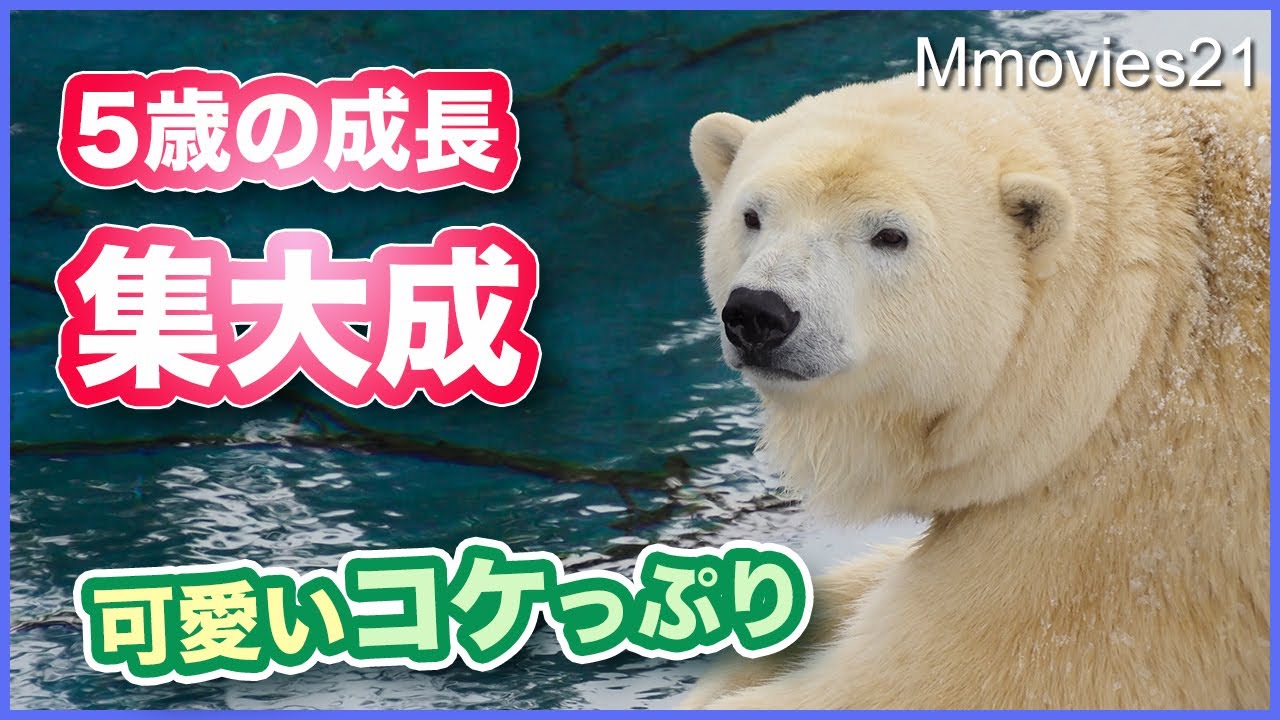 Белый медведь без ума от кусания кости на снегу