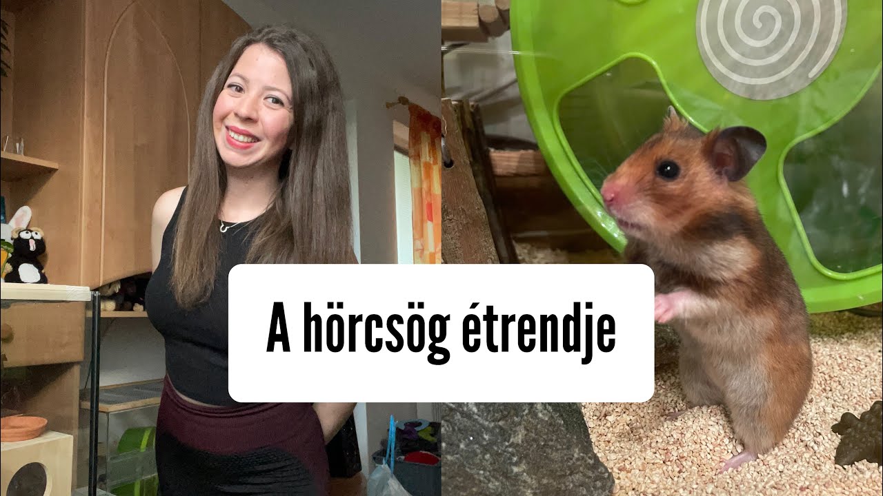 A hörcsög étrendje🐹